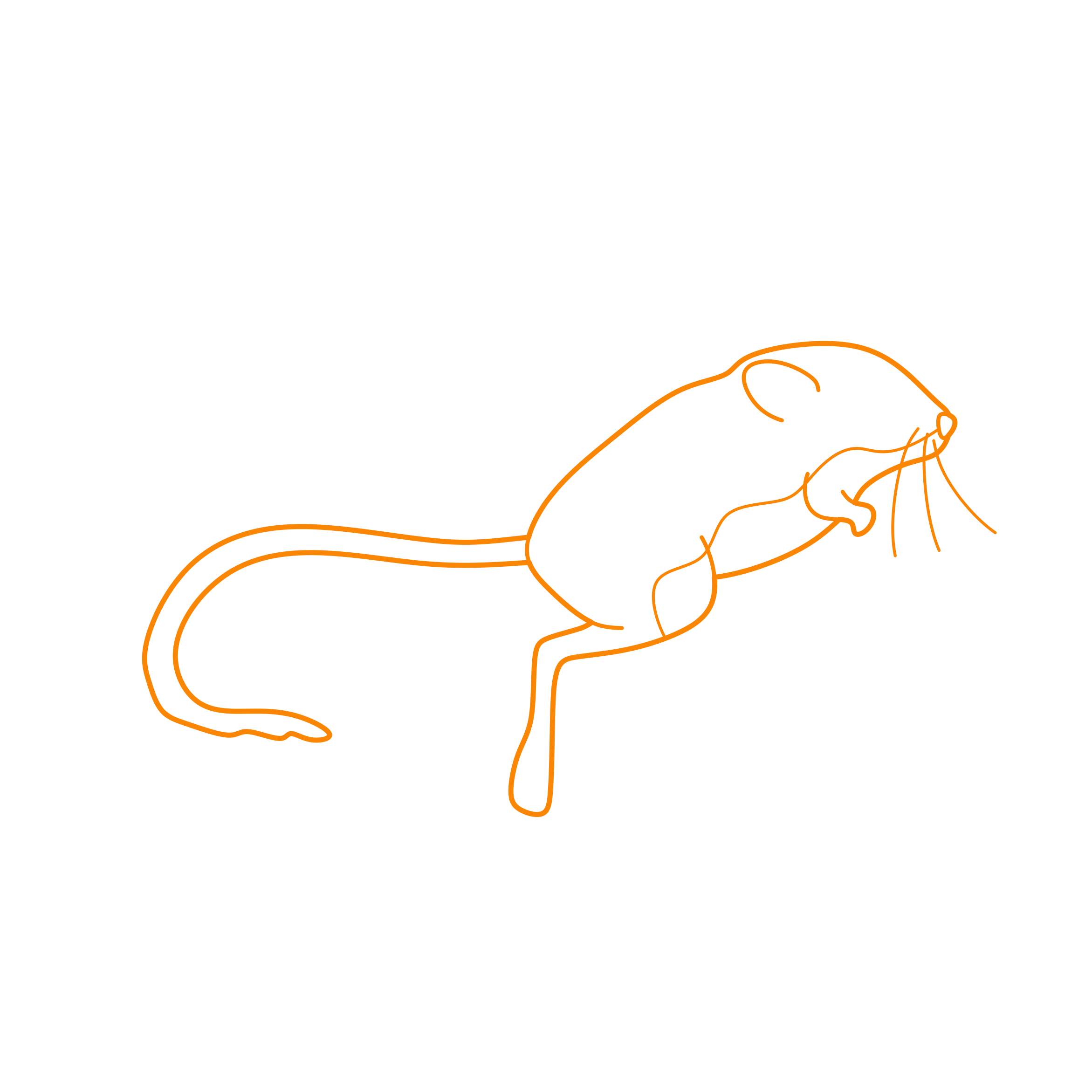 Animals Rodents Ords Kangaroo Rat Svg Line Art Free Vectors